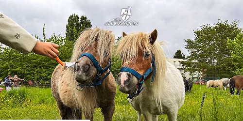 \ud83d\udc34\u2600\ufe0f Animation e\u0301co-pa\u0302turage : Les poneys fe\u0302tent l'e\u0301te\u0301 !