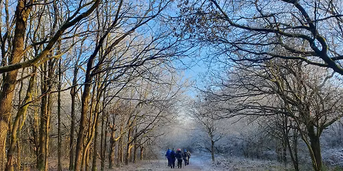 Wild Rambling and Pilates in Wharfedale