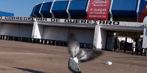 Raphael Santiago de Quer\u00e9taro Tickets