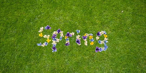 Willow Burn Hospice Nurses' Spring Fair