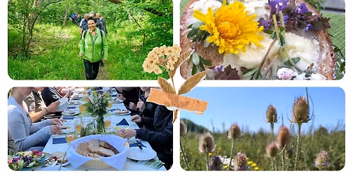 Kr\u00e4uterwanderung - f\u00fcr Herz & Seele