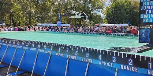 DockDogs\u00ae at Wagner Subaru Outdoor Experience