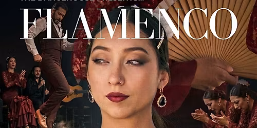 Flamenco Dance for Adults!
