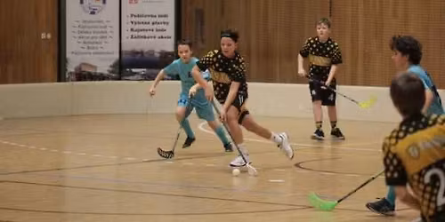 Dom\u00e1ci turnaj - Star\u0161\u00ed \u017e\u00e1ci Black