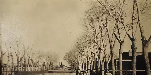 Tucson History Social