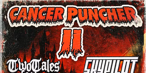 Cancer Puncher II