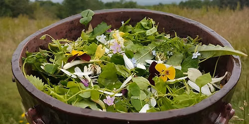 Wild Food Foraging