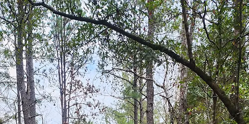 April at Blakeley State Park