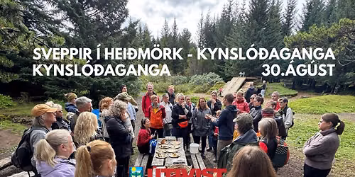 Sveppir \u00ed Hei\u00f0m\u00f6rk - Kynsl\u00f3\u00f0aganga