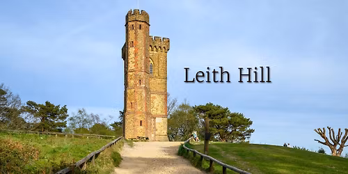 Leith Hill Rhododendron Wood Hiking - Sat 25 Oct 2025