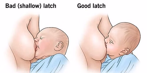 FACE-TO-FACE - Lactation Consultant Drop In