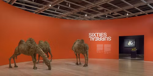 Frank Marino's Divas - Baltimore