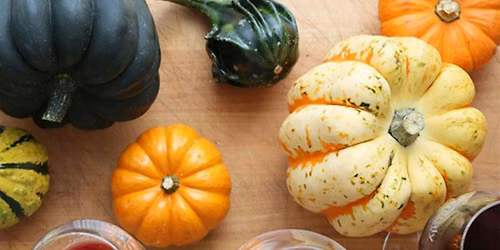 Sip & Savor: Witchy Wine and Cheese
