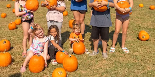 Pumpkin Pic-A-Nic Weekends