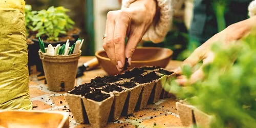 Seeds of the Season: From Seed to Harvest