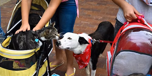 Blessing of the Animals and Pet Food Drive