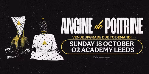Angine De Poitrine, Live in Leeds - VENUE UPGRADED