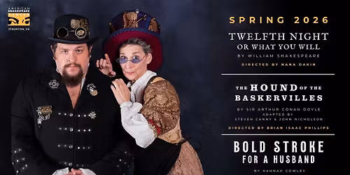 A Bold Stroke For A Husband (Preview)