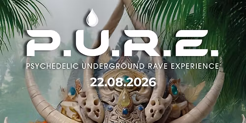 P.U.R.E. Psy - Open Air 22.08.26