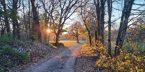 Rogaine Slovenija 2026