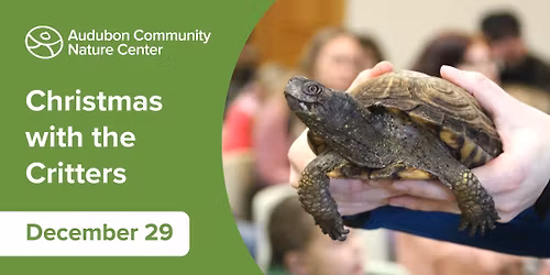 Christmas with the Critters: AM