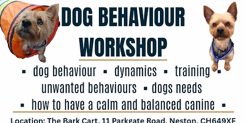 Dog Behaviour Talk