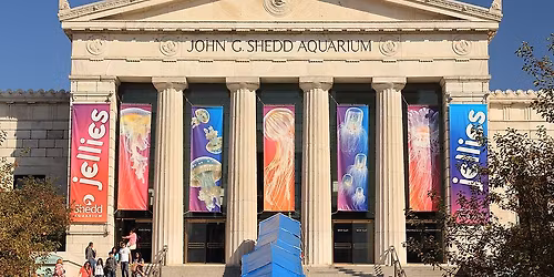 Shedd Aquarium Trip