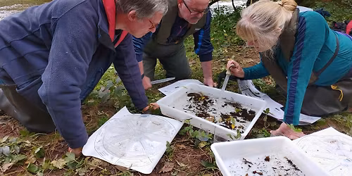 Riverfly Monitoring Initiative (RMI) practical training session