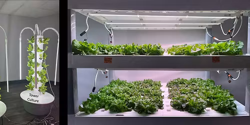 Hydroponic Crops Production Course 2026