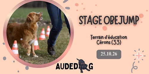 Stage canin : Ob\u00e9jump