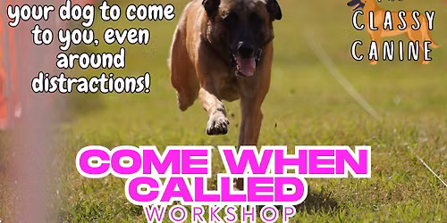Come When Called Recall Workshop