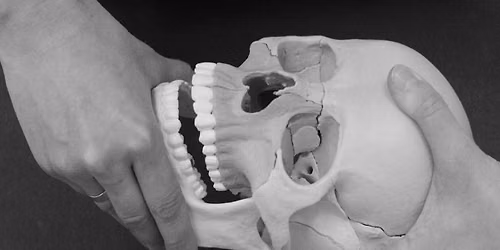 TMJ: nuo funkcijos iki disfunkcijos. Kursas gyd. odontologams