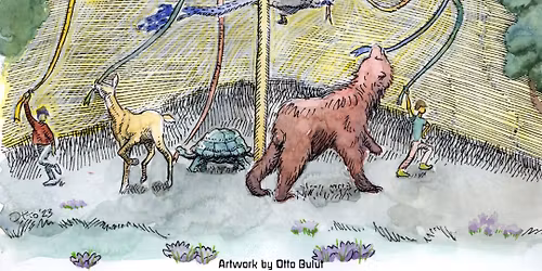 May Faire at the Olympia Waldorf School