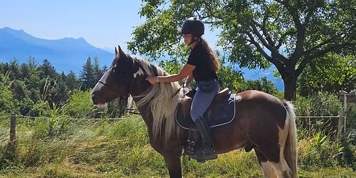 Stage "jeune cheval"