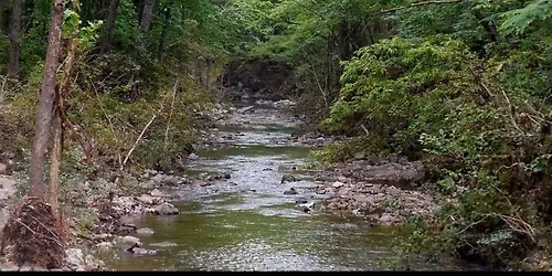 Hot Springs National Park and Ouachita National Forest