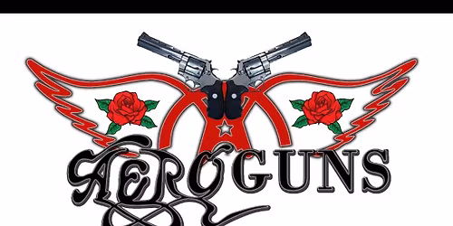 AEROGUNS