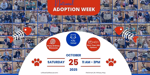 National Adoption Week