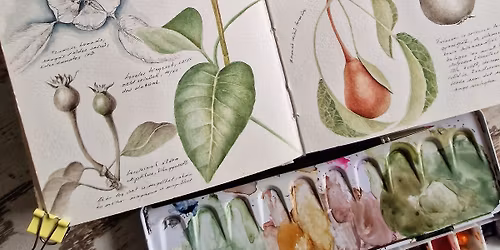 \u00c9bred\u0151 Term\u00e9szet - Botanikus illusztr\u00e1l\u00e1s workshop