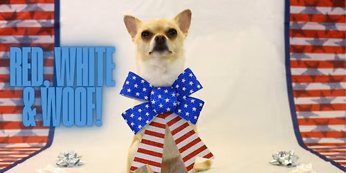 Red, White and WOOF! Pop-Up Dog Park!