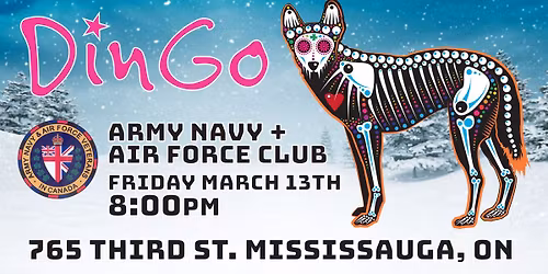 Dingo rocks the ANAF