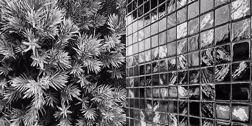 Teen Photo Workshop - Mini Monochrome Monologues
