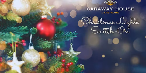 Christmas Lights Switch On