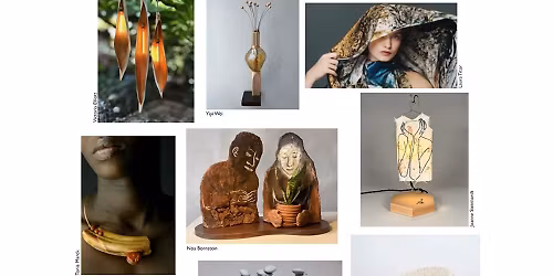 Functional Aesthetics: Contemporary Art in Use