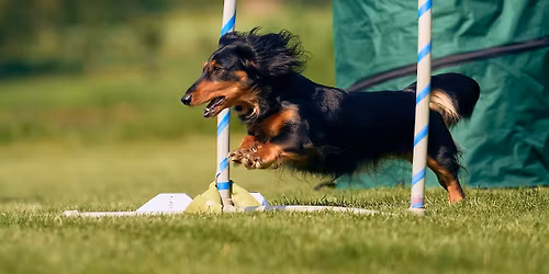 Nymbursk\u00fd hoop - ofici\u00e1ln\u00ed Hoopers z\u00e1vody