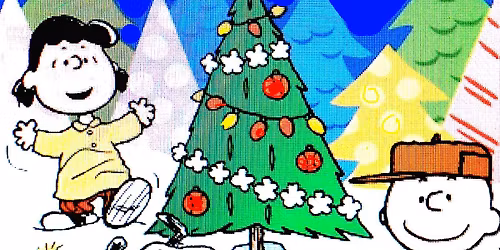 Gathering of friends at THE CAZBA 