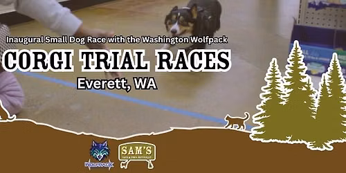 Corgi Trial Races | Sam's Cats and Dogs & Washington Wolfpack Partnership Event