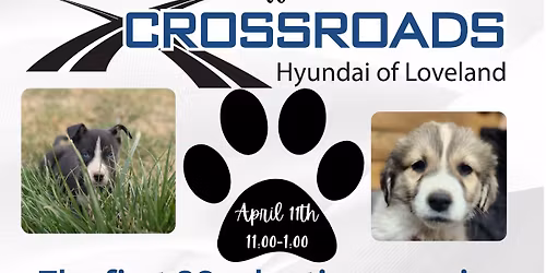 Adoption Event- Hyundai of Loveland