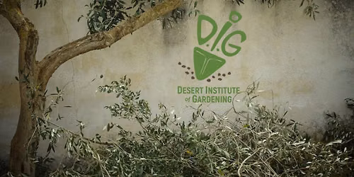 Made in the Shade: Expanding Urban Forests