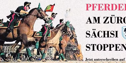 Pferdeleid am Z\u00fcrcher Sechsel\u00e4uten stoppen! 