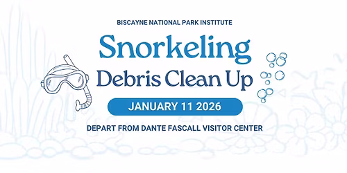 Dive In & Make a Difference: Snorkeling Debris Clean Up at Biscayne